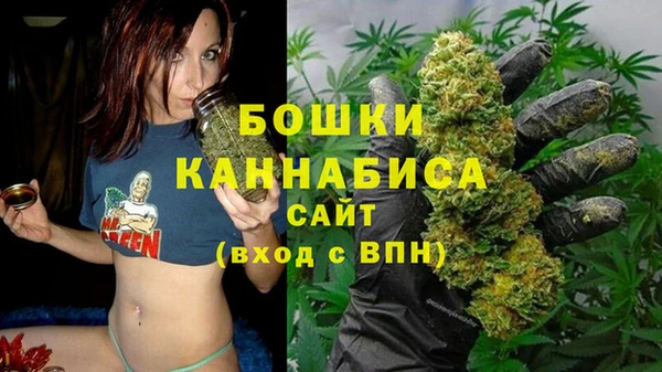 ECSTASY Ладушкин