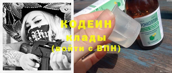ECSTASY Ладушкин