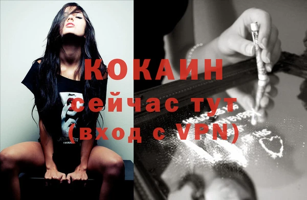 ECSTASY Ладушкин