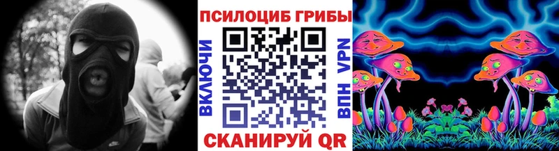 OMG ССЫЛКА  как найти закладки  Арзамас  Псилоцибиновые грибы Cubensis 